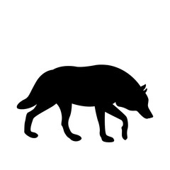 wolf vector illustration black silhouette
