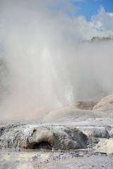 Prince of Wales Feathers geyser in Te Puia therrmal reserve in Rotorua, New Zealand. 