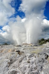 The famous Pohutu geyser in Rotorua, New Zealand.