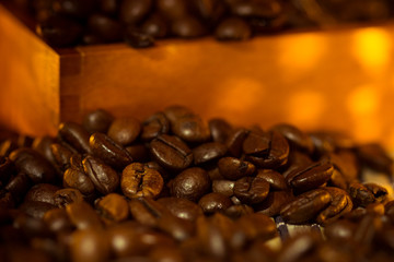 Kaffeebohnen