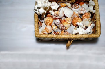 cestino di conchiglie su marmo bianco