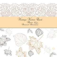 Vintage Autumn lace card. Vector hand drawn autumn tree leaves pattern. Retro engraved technique