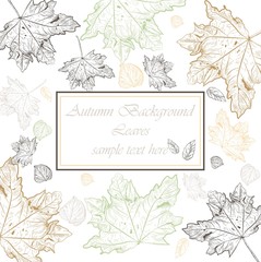 Autumn Vintage card background. Vector hand drawn autumn tree leaves pattern. Retro engraved technique