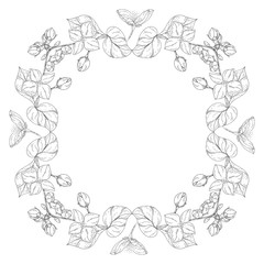 Plant in blossom, branch with flower ink sketch on white background