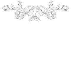 Plant in blossom, branch with flower ink sketch on white background