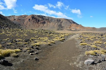 The South Crater in Tongariro National Park, New Zealand.