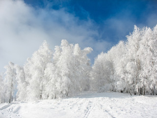Beautiful ski slope in winter, landscape in Sirnea - Fundata village of Romania