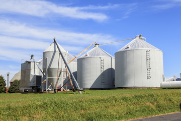 Fototapeta na wymiar Several metal grain bins and augers on rural farm in Central Illinois