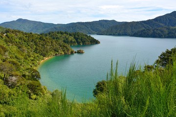 Coastal scenery in Marlborough Sounds, New Zealand.