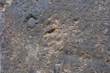 Background with the image of a stone wall