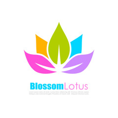 Colorful flower logo