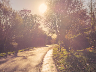 Autumn country road,Northern Ireland,UK