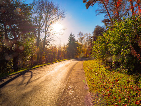 Autumn country road,Northern Ireland,UK