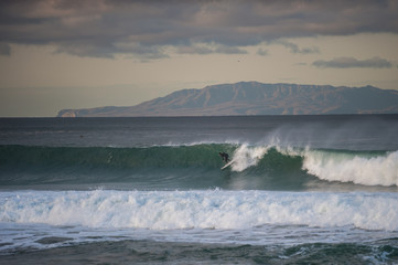 Fototapeta na wymiar Santa Cruz Island in background as surfer picks up speed across wind blown wave at dawn.