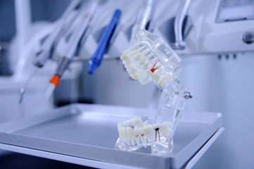 Model of dental jaw on background of modern dental tools