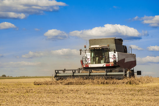 Combine harvester working on the harvest in a field