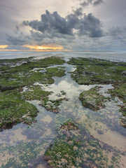 Sunset view and rocks covered with moss
