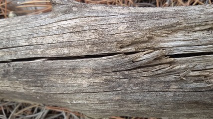 Textura de madera