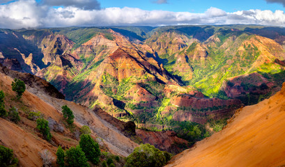 Panoramic landscape view of Waimea Canyon in Kauai, Maui