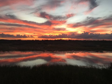 Fototapeta amazing swamp sunset at twilight