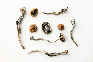 Artistic Display of Dried Magic Mushrooms on White Background
