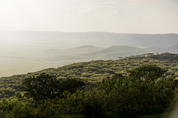 Ngorongoro Crater at sunset, jungle landscape in Africa