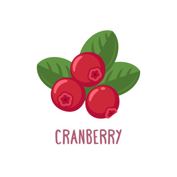 Vector Cranberry Icon