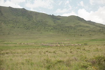 Obraz premium Masai villages landscape
