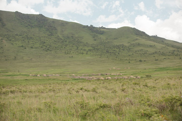 Fototapeta na wymiar Masai villages landscape