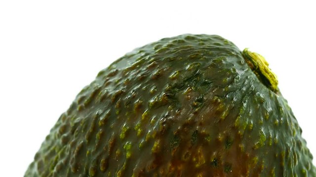 Green avocado  rotates in loop    