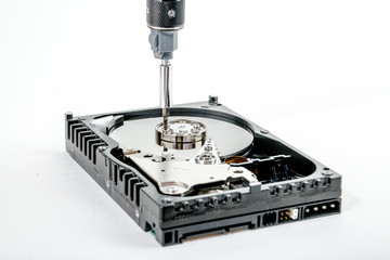 Cropped screwdriver unscrews the clamp of the engine of the open 3.5 inch HDD. Isolated on white background.