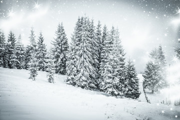 snowy winter landscape