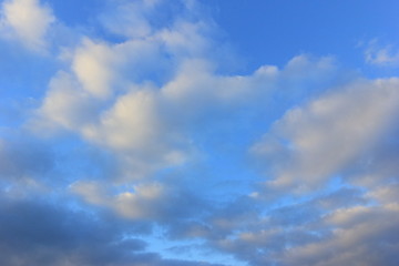 Fototapeta premium 冬空の雲