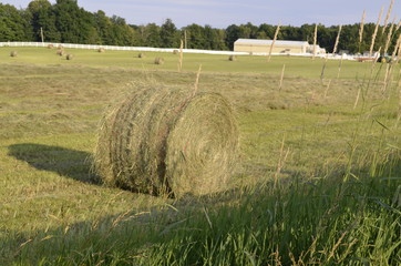 Freshly cut pastures of hay rolled and baled