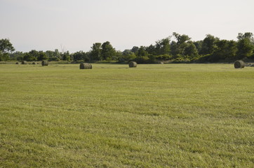 Freshly cut pastures of hay rolled and baled