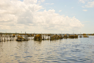 Panoramic view of Madagascar landscape