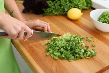 Closeup of woman hands cooking vegetables salad in kitchen. Healthy meal and vegetarian concept.