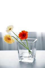 Beautiful daisy flowers in glass vase on table in the room