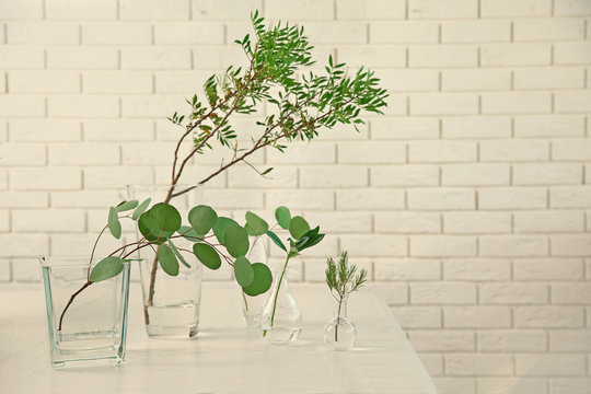 Plants in different glass vases on table in the room