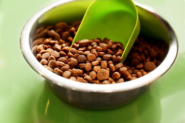 Metal bowl with dry pet food and plastic scoop, close up view