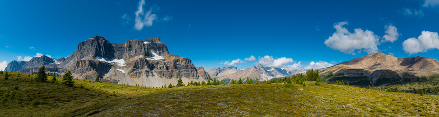 Scenic summer in the  mountains