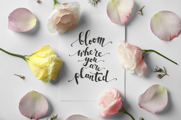 Quote "Bloom where you are planted" written on paper with petals and flowers. Top view