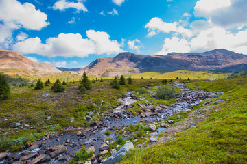 Scenic summer in the  mountains