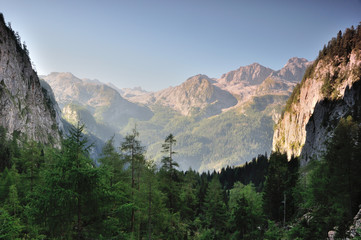Fototapeta na wymiar Wildnis im Nationalpark Berchtesgaden, Blick auf Funtenseetauern und Wildalmkircherl, Steinernes Meer