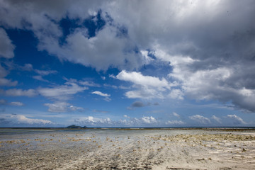 Seychelles Beach Silhouette