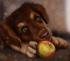 Собака и яблоко
