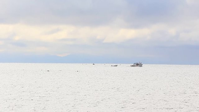 北海道噴火湾　ホタテ漁の漁船