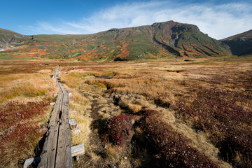 Wooden hiking trail through grasslands landscape in autumn color, Daisetsuzan, Hokkaido, Japan