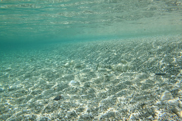 Fototapeta na wymiar 珊瑚の岸辺