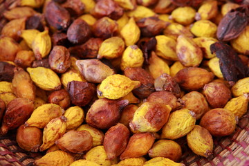 Making of Argan oil  in Morocco